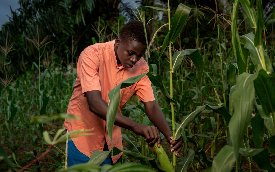 Coopérative Agricole REMOOBE de la Commune de Tankanto Escale (RECOMTE)